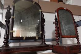 DSC08137.JPG