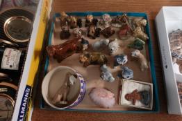 DSC08173.JPG
