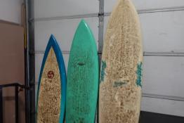 DSC08494.JPG